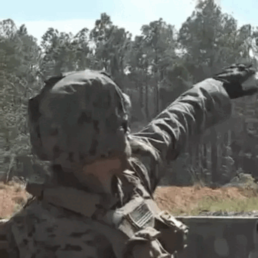 Animated Military Salute in Nature GIF Sticker