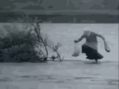 Animated Epic River Crossing GIF Sticker