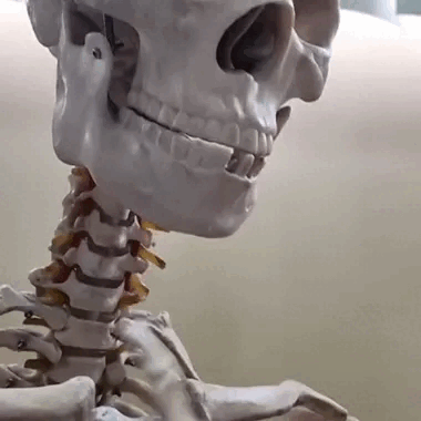 Animated Skeleton Silence Gesture GIF Sticker