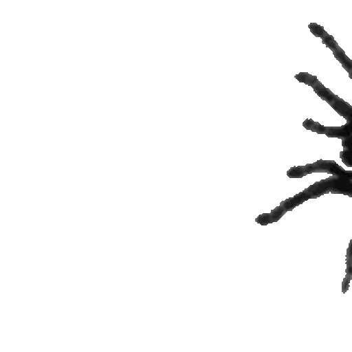 Animated Creepy Spider Silhouette GIF Sticker