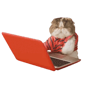 Animated Cat Typing on Laptop GIF Sticker
