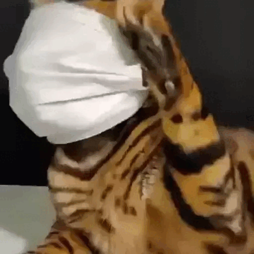 Animated Tiger Wearing a Mask GIF Sticker