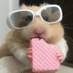 Cool Hamster with Sunglasses Sticker