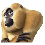 Skeptical Monkey Expression Sticker