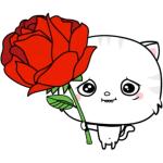 Cute Cat with Red Rose