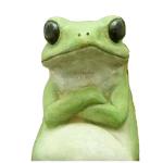 Confident Frog Pose