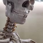 Skeleton Silence Gesture