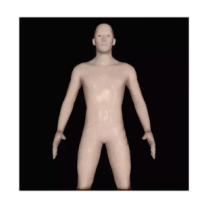 3D Human Figure