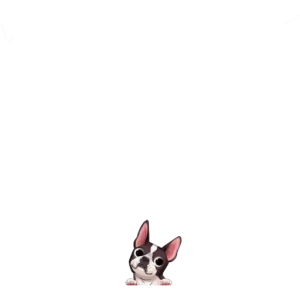 Curious French Bulldog