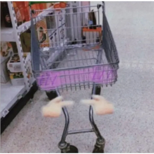 Invisible Shopping Cart Prank