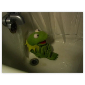 Contemplative Frog in Bathtub