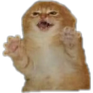 Funny Screaming Cat