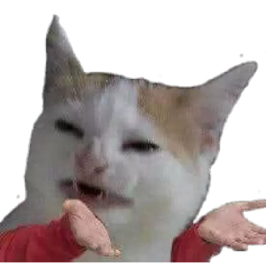 Confused Cat Meme