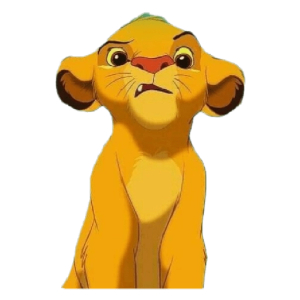 Curious Lion Cub