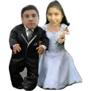 Wedding Couple in Formal Attire