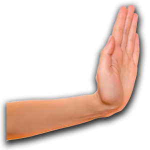 Stop Hand Gesture