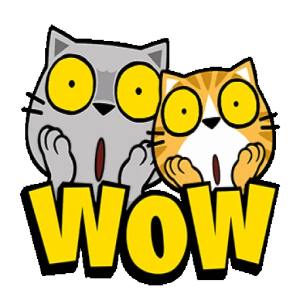 Surprised Cats Wow