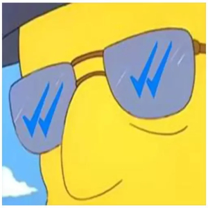Double Check Sunglasses