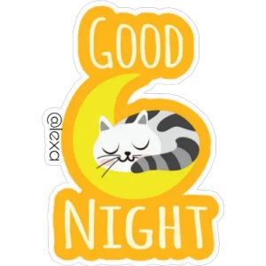 Good Night Cat