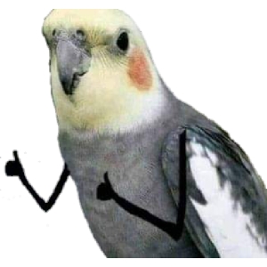 Confused Cockatiel
