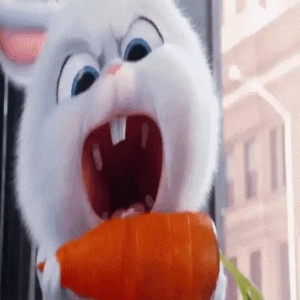 Excited Bunny with Carrot