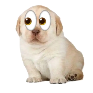Wide-Eyed Puppy Surprise