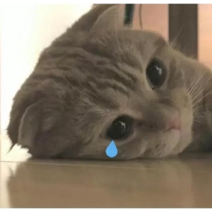 Sad Cat with Tear PNG Sticker