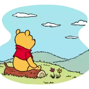 Bear Enjoying Nature