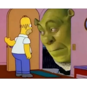 Unexpected Visitor Meme