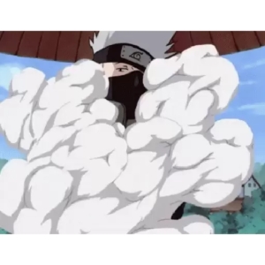 Ninja Disappearing Act