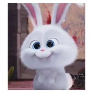 Cute Animated Bunny
