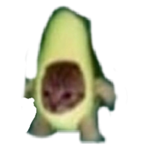 Cat in Avocado Costume