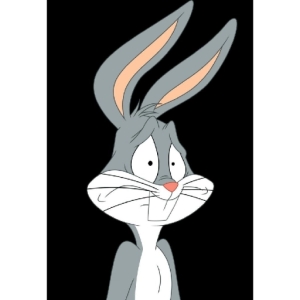 Surprised Cartoon Rabbit