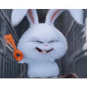 Cheeky Bunny with Key