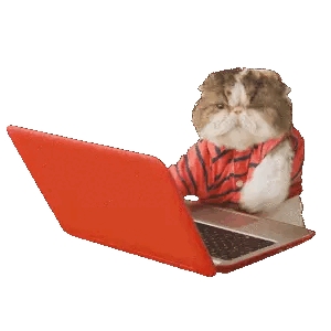 Animated Cat Typing on Laptop GIF Sticker