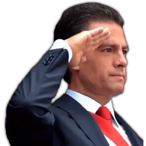 Formal Salute Gesture