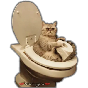 Cat on Toilet with Toilet Paper