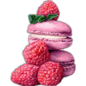 Raspberry Macaron Delight