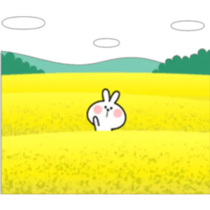 Cute Bunny in Field
