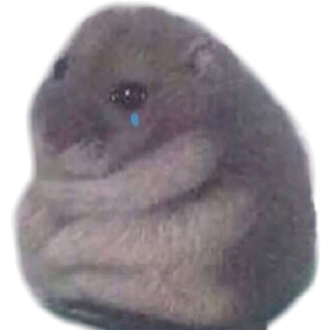 Sad Hamster
