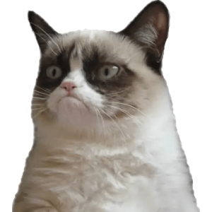 Grumpy Cat Expression