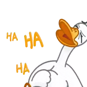 Laughing Duck
